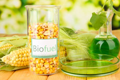 Rhodes Minnis biofuel availability